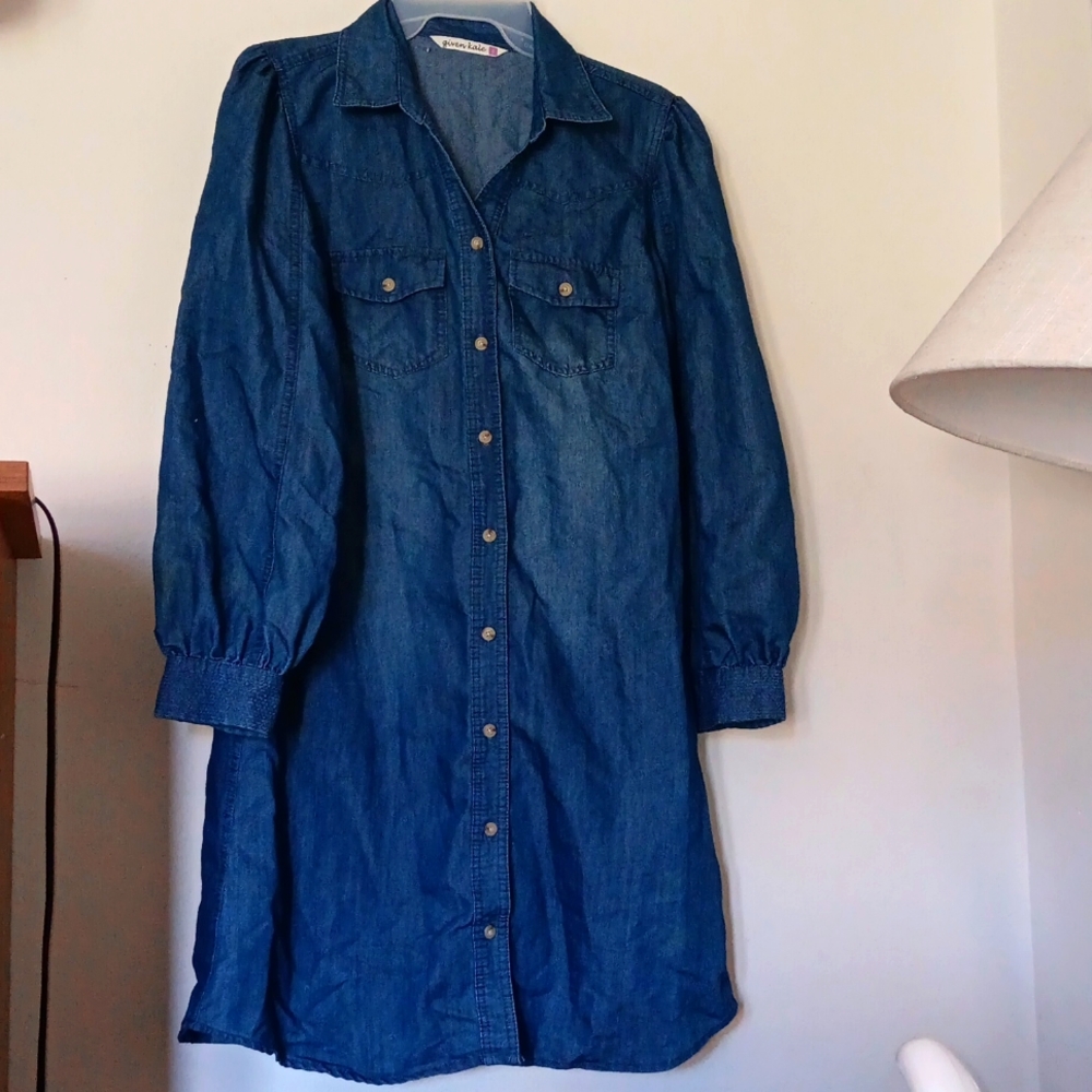 Given Kale Chambray Dress